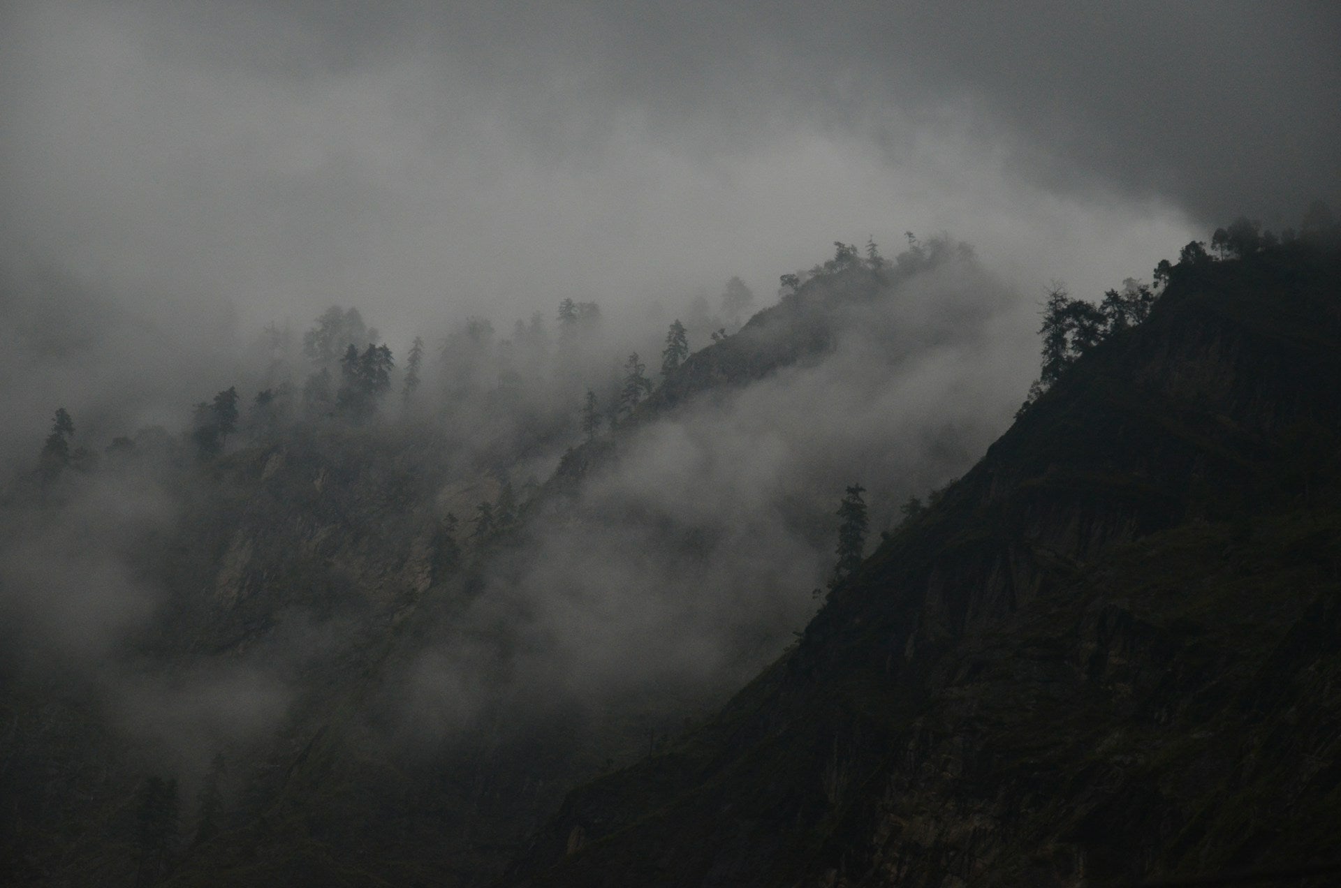 Mystischer schwarzer Berg im Nebel - Swiftfleet Banner